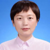 田象菊