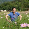 杨志霖
