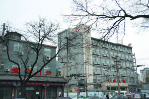 北京市西城区丰盛医院
