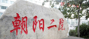 北京市朝阳区第二医院