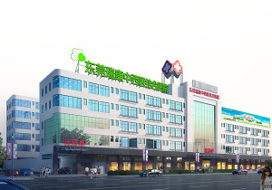 东莞瑞康中西医结合医院