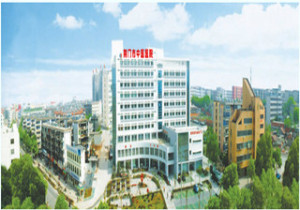 荆门市石化医院