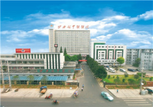 公安县中医医院