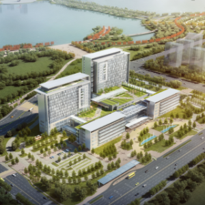 合肥京东方医院