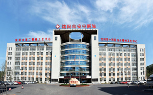 沈阳市安宁医院