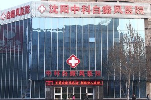 沈阳和平中科中医医院