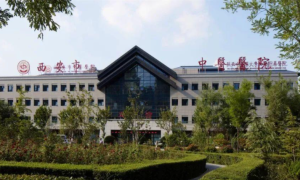 西安市中医医院（无数据）