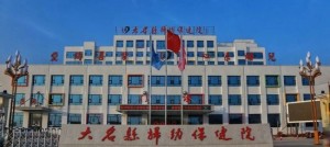 大名县妇幼保健院