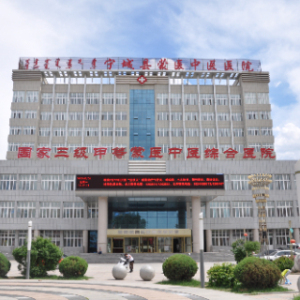 宁城县中医蒙医医院