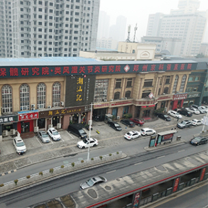 郑州京科强直中西医结合医院