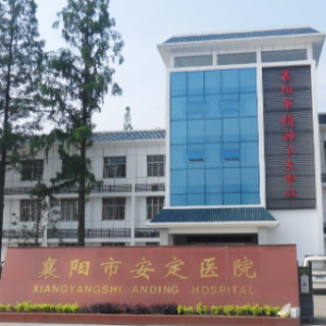襄阳市安定医院