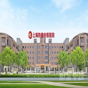 上海协爱中医医院