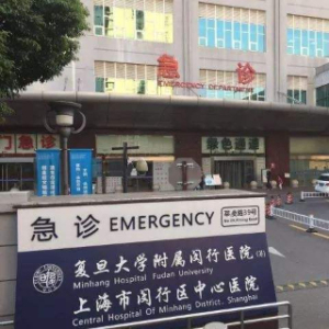 复旦大学附属闵行医院